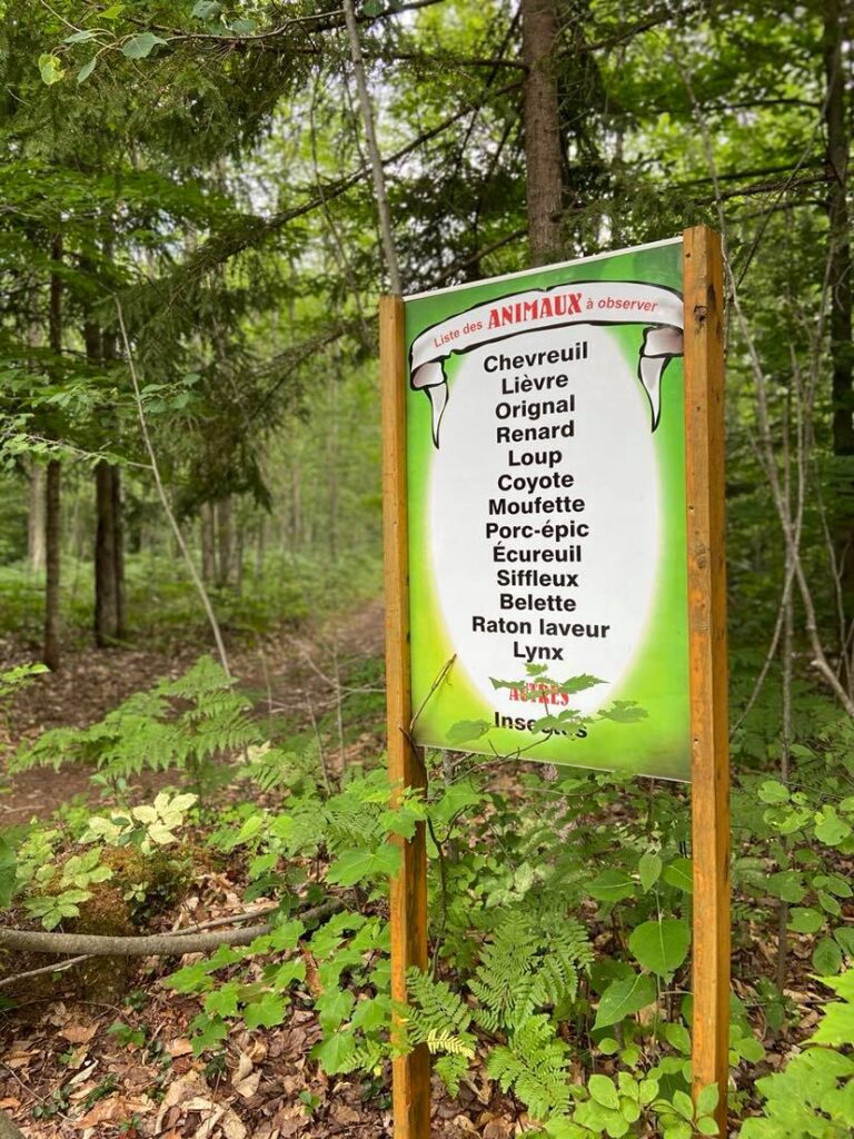 Parc Robin des bois - 1