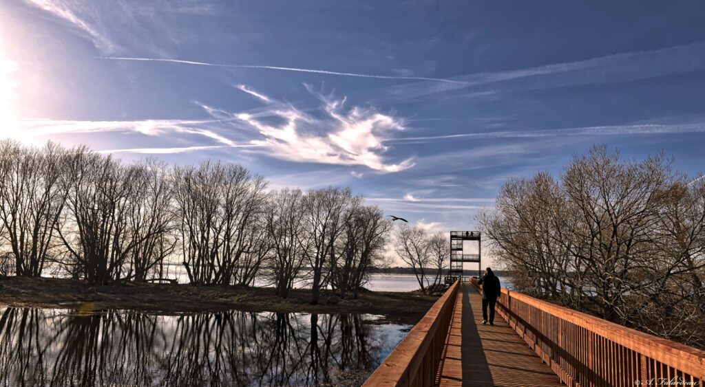 Parc écomaritime de l'Anse-du-Port - 2