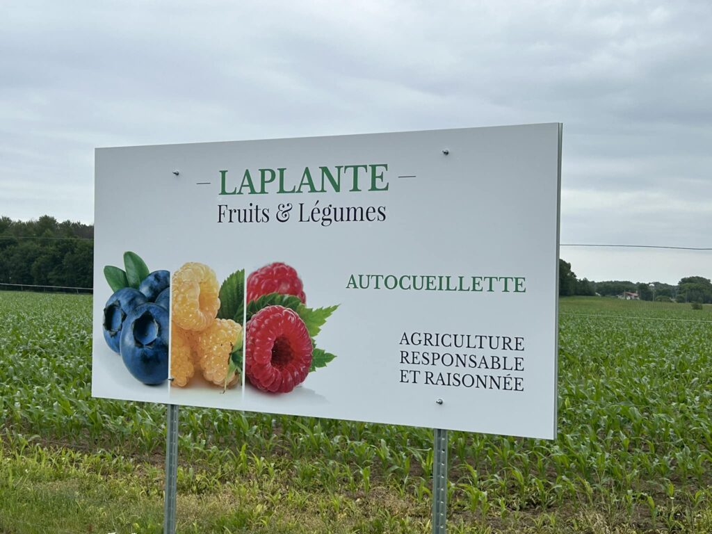 Laplante Fruits & Légumes - 2